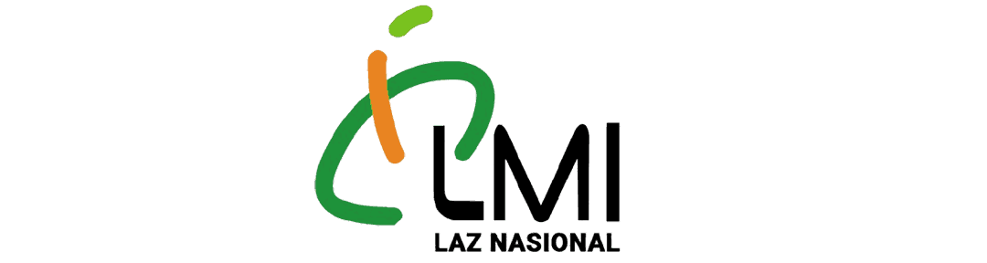 LMI_2_11zon