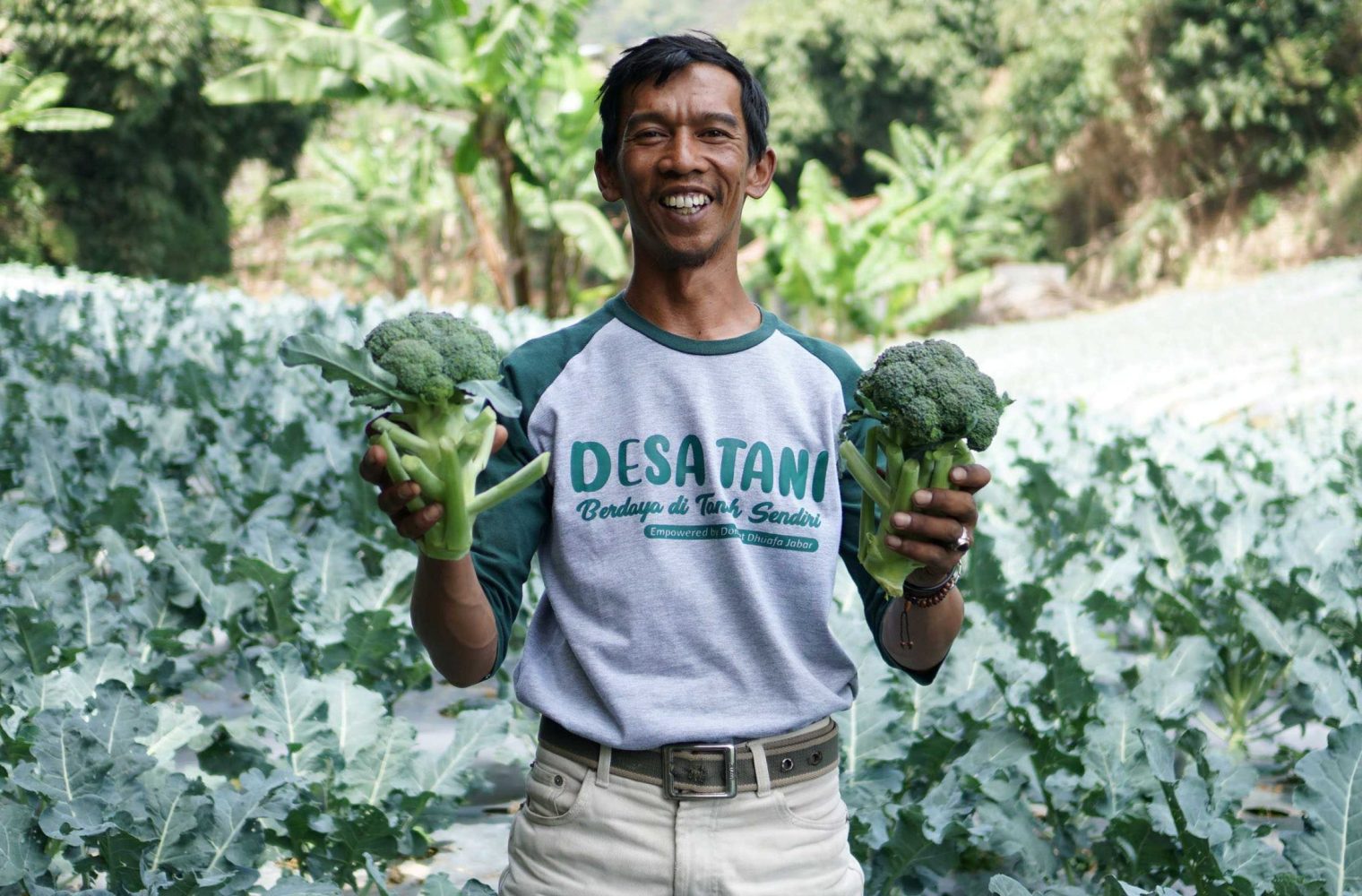Desa Tani Desa Tani